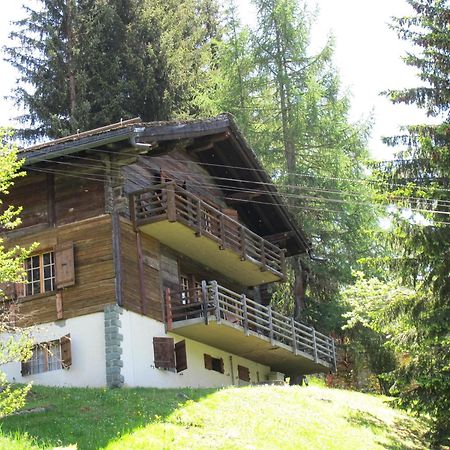 Chalet Nouchka Verb120 Villa Verbier Kültér fotó